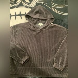 Aerie Velour Hoodie